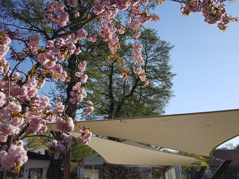 Solsegel i offentlig miljö